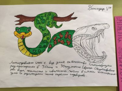 Световен ден на защита на животните 2
